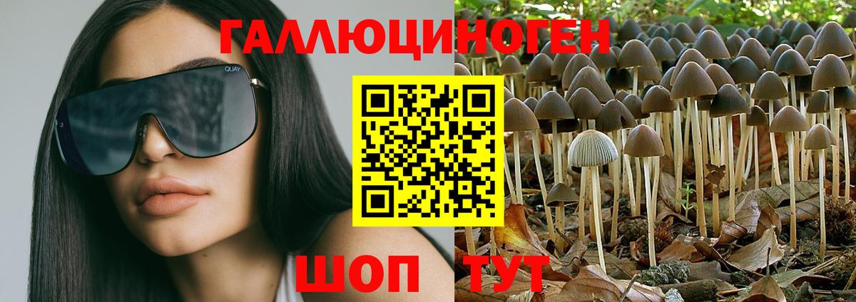 Псилоцибиновые грибы мухоморы Жуковский
