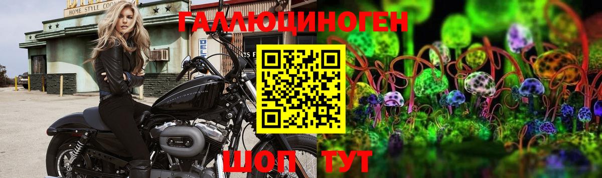 Жуковский  Галлюциногенные грибы MAGIC MUSHROOMS  Галлюциногенные грибы ЛСД  Вход с VPN 
